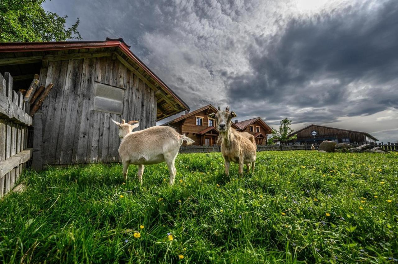 Vila Wenzlhof Zwiesel Exteriér fotografie